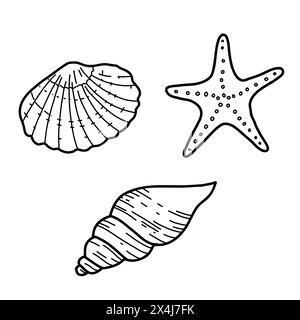 Sea Set. Coquillages de mer dessinés à la main et illustrations vectorielles d'étoiles dans le style doodle. Esquisse simple isolée sur fond blanc. Conception sous-marine Illustration de Vecteur