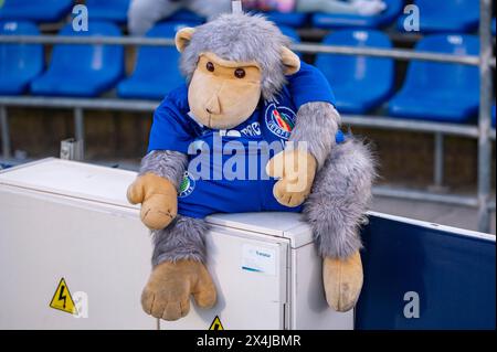 Getafe, Madrid, Espagne. 3 mai 2024. GETAFE, ESPAGNE - 03 MAI : Mascotte de Getafe lors du match de football la Liga EA Sports 2023/24 entre Getafe CF et Athletic Club Bilbao à l'Estadio Coliseum le 03 mai 2024 à Getafe, Espagne. (Crédit image : © Alberto Gardin/ZUMA Press Wire) USAGE ÉDITORIAL SEULEMENT! Non destiné à UN USAGE commercial ! Banque D'Images