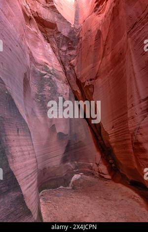 Wind Pebble slot canyon près de page Arizona met en évidence le passage étroit et étonnants, motifs complexes qui se forment sur des millions d'années à partir du c Banque D'Images