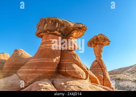 Hoodoo en toadstool en grès blanc et rouge à Kanab Utah montrant des flèches fortement érodées et une roche plus dure équilibrée sur le dessus encadrée par un ciel bleu. Banque D'Images