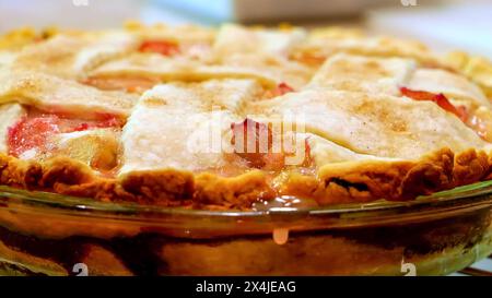 Chaud et bouillonnant délicieuse Rhubarb Custard Pie maison dans une casserole en verre, juste sorti du four, en clip de gros plan avec casserole à droite. Banque D'Images