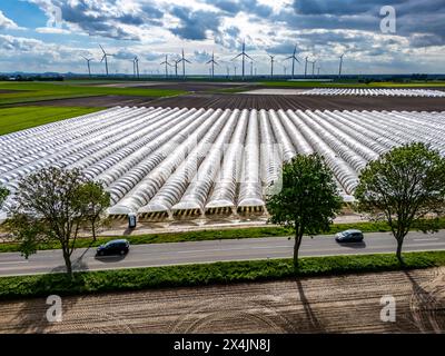 Landwirtschaft, großen Flächen mit Folientunnel, für den Anbau von Erdbeeren, frisch bestellte Felder, Windpark, südlich von Lövenich, gehört zu Erkelenz, im Kreis Heinsberg, Folientunnel *** Agriculture, grandes surfaces avec tunnel de feuille, pour la culture de fraises, champs fraîchement cultivés, parc éolien, au sud de Lövenich, appartient à Erkelenz, dans le quartier de Heinsberg, tunnel de fleuret Banque D'Images