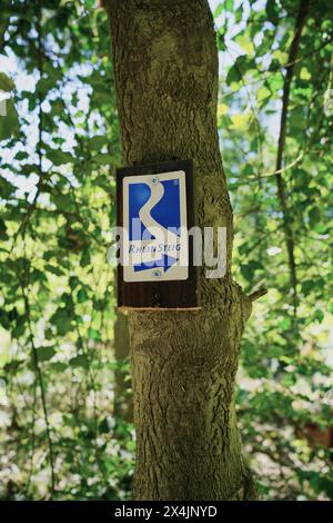 Célèbre marqueur d'arbre du sentier de randonnée de Rheinsteig. Banque D'Images