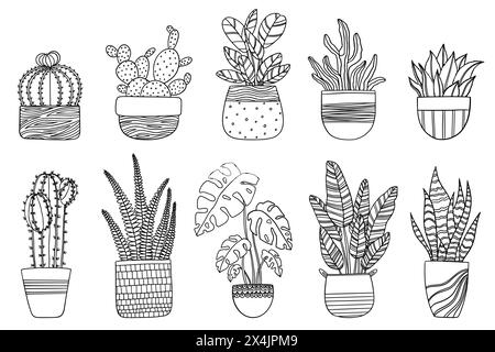 Ensemble dessiné à la main de plantes d'intérieur dans des pots, dessin de doodle de contour à la mode de monstera, succulentes, palmier bananier, cactus. Élément de conception isolé Illustration de Vecteur