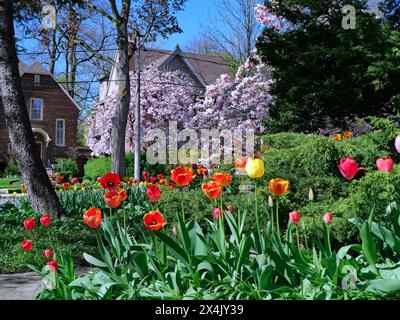 Neigborhood résidentiel avec fleurs de printemps Banque D'Images