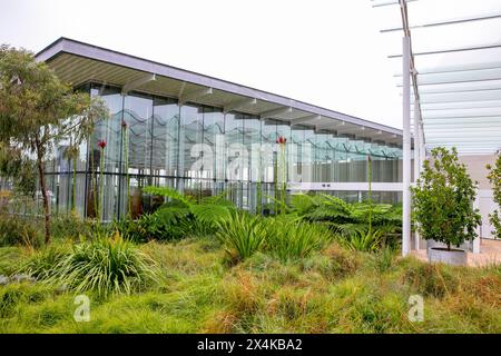 Naala Badu, le Sydney Modern agrandit la taille de la galerie d'art de Nouvelle-Galles du Sud à Sydney et a ouvert ses portes en 2022, conçu par Kazuyo Sejima + Ryue Nishizawa Banque D'Images