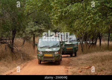 jaipur , rajasthan / inde - 1 Déc 2023 - les gens ou les touristes dans le safari de léopard sauvage en véhicule électrique bon pour le contrôle de la pollution jhalana réserve Banque D'Images