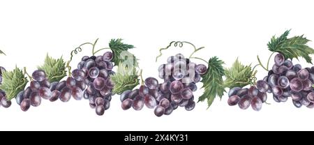 Bordure sans couture de vignes de raisin violettes. Illustration d'aquarelle dessinée à la main isolée sur fond blanc. Cave de vinification. Pour emballage alimentaire, menu, café Banque D'Images