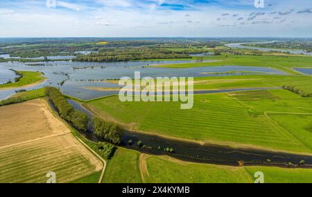 Luftbild, NSG Naturschutzgebiet Bislicher Insel Auenlandschaft, Schwarzer Graben mit Baumallee, Flussarm Alter Rhein, Seenlandschaft mit Wiesen und Feldern und Fernsicht, Unterbirten, Xanten, Niederrhein, Nordrhein-Westfalen, Deutschland ACHTUNGxMINDESTHONORARx60xEURO *** vue aérienne, réserve naturelle Bislicher Insel Auenlandschaft, Schwarzer Graben avec avenue des arbres, bras de rivière Alter Rhein, paysage lacustre avec prairies et champs et vue lointaine, Unterbirten, Xanten, Bas Rhénanie du Nord-Westphalie, Allemagne ATTENTIONxMINDESTHONORARx60xEURO Banque D'Images