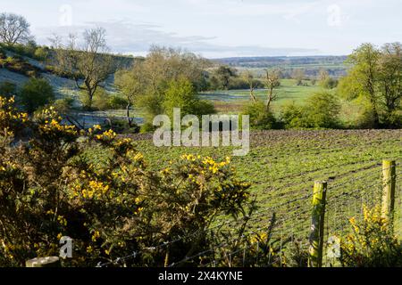 Vue sur Witton Valley au printemps Banque D'Images