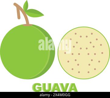 Modèle de logo d'illustration de conception d'icône de Guava Illustration de Vecteur