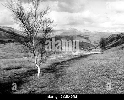 Près de Irton Road, Cumbria - 9 avril 1983 Banque D'Images