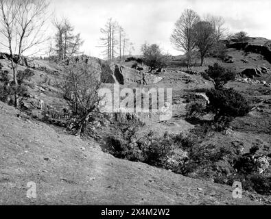 Claife, près de Moss Eccles, Cumbria - 12 avril 1983 Banque D'Images