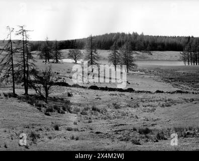 Claife, près de Wise een Tarn, Cumbria - 12 avril 1983 Banque D'Images