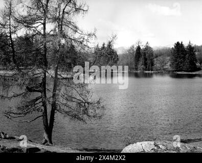 Claife, près de Moss Eccles, Cumbria - 12 avril 1983 Banque D'Images