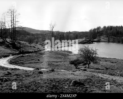 Claife, près de Wise een Tarn, Cumbria - 12 avril 1983 Banque D'Images