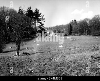 Près de Far Sawry, Cumbria - 12 avril 1983 Banque D'Images