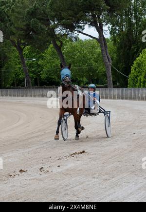 Entraînement avant la compétition de trot, cheval et jockey sur sulky en action sur piste de sable à l'hippodrome de Padoue en Italie. Prise de vue verticale Banque D'Images