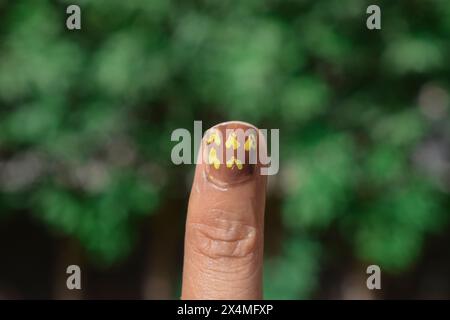 Belle et facile Nail Art sur l'index Banque D'Images