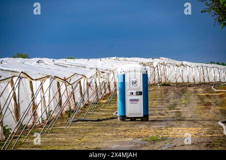 Agriculture, grandes surfaces avec tunnel de feuille, pour la culture des fraises, au sud de Lövenich, appartient à Erkelenz, dans le district de Heinsberg, Banque D'Images