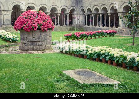 Gérone, Espagne, 18 mai 2013 : beauté florissante : un aperçu du festival temps de Flors à Gérone Banque D'Images