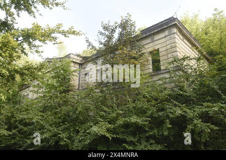 DAS Schloss Dwasieden ist heute nur noch eine ruine. Es wurde in den Jahren 1873 bis 1877 im Auftrag von Adolph von Hansemann, einer der reichtsten Männer der Bismarckzeit erbaut. Von dem Prachtbau bestehen aufgrund der Sprengung im Jahr 1948 durch die Russn nur noch reste des Gebäudes sowie der 1997 ausgebrannte Marsstall. Gert von Oertzen, der Enkel und Erbe Hannemanns, verkaufte das Schloss in den 1930er Jahren an die Stadt Sassnitz, von der es 1935 die Kriegsmarine übernahm und zu einem Teil ihrer Schiffsartillerieschule Entfernungsmeßschule machte. *** Le château de Dwasieden n'est plus qu'une ruine Banque D'Images