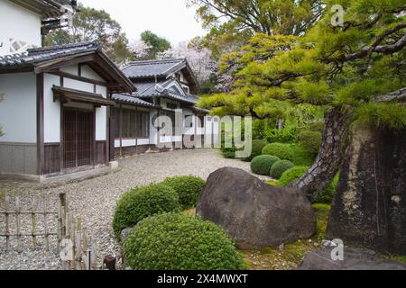 Japon, Shikoku, Uchiko, résidence Honhaga, jardin Banque D'Images