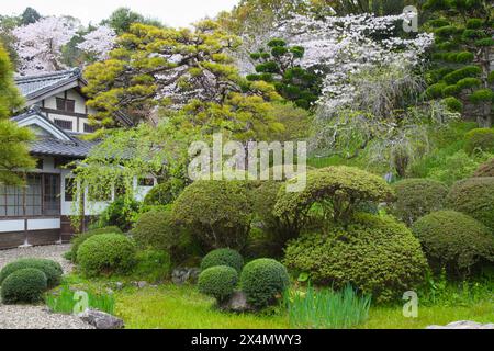 Japon, Shikoku, Uchiko, résidence Honhaga, jardin Banque D'Images