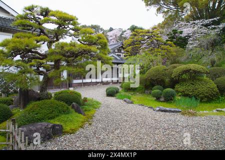 Japon, Shikoku, Uchiko, résidence Honhaga, jardin Banque D'Images