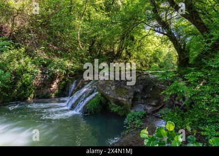 Belle scène dans le parc régional de Veio, près de Formello, province de Rome, Latium, Italie. Banque D'Images