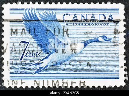 Timbre-poste oblitéré imprimé par le Canada, qui montre l'oie du Canada (Branta canadensis) en vol, vers 1952. Banque D'Images