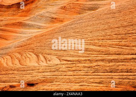 Literie en grès le long de Moqui Sand Caves Trail, comté de Kane, Utah Banque D'Images