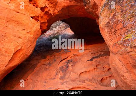 Arc de grès le long de Pioneer Names Trail, parc d'État de Snow Canyon, Utah Banque D'Images