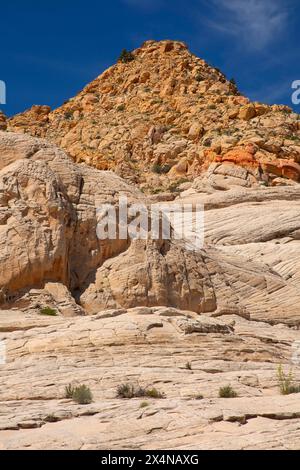 Roches blanches de Whiterocks Trail, Snow Canyon State Park, Utah Banque D'Images