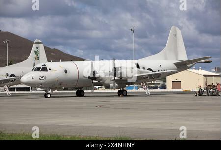 Seefernaufklärer vom Typ Lockheed P3 Orion der US Navy auf der Marine corps Air Station MCAS Kaneohe Bay auf Hawaii. Seefernaufklärer vom Typ Lockheed P3 Orion der US Navy auf der Marine corps Air Station MCAS Kaneohe Bay auf Hawaii. Kaneohe Hawaii Vereinigte Staaten von Amerika *** avion de patrouille maritime Lockheed P3 Orion de la Marine corps Air Station MCAS Kaneohe Bay, Hawaï avion de patrouille maritime Lockheed P3 Orion de la Marine US Navy Air Station MCAS Kaneohe Bay, Hawaï Kaneohe Hawaii États-Unis d'Amérique Banque D'Images