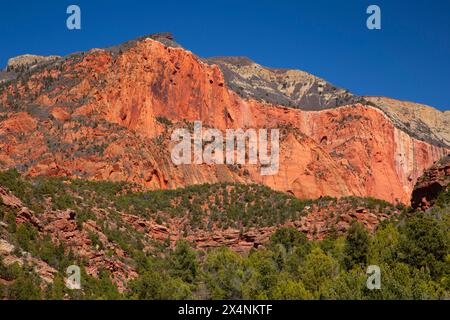 Vue depuis Taylor Creek Trail, parc national de Zion, Utah Banque D'Images