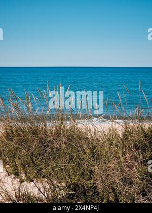 Paysage marin tranquille capturant la beauté sereine d'une plage déserte, encadrée par une douce dune de sable et une végétation luxuriante sous un ciel bleu clair Banque D'Images