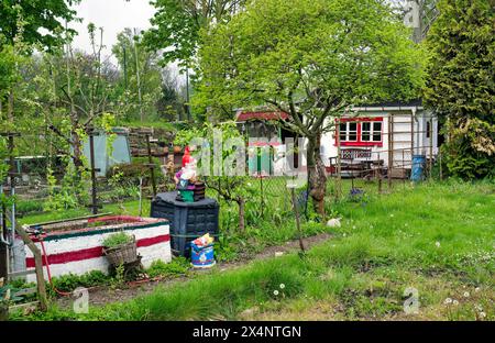 Jardin de lotissement, jardin de lotissement, jardin dans un jardin de lotissement avec gnome de jardin, Leipzig, Saxe, Allemagne Banque D'Images