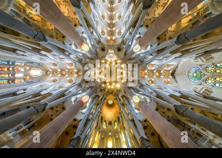 Plafond voûté, colonnes, Sagrada Familia, Basilique d'Antoni Gaudi, Barcelone, Catalogne, Espagne Banque D'Images