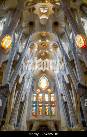 Nef, voûte de plafond, colonnes, Sagrada Familia, Basilique d'Antoni Gaudi, Barcelone, Catalogne, Espagne Banque D'Images