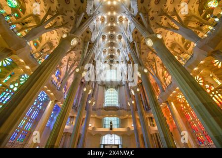 Nef, voûte de plafond, colonnes, Sagrada Familia, Basilique d'Antoni Gaudi, Barcelone, Catalogne, Espagne Banque D'Images