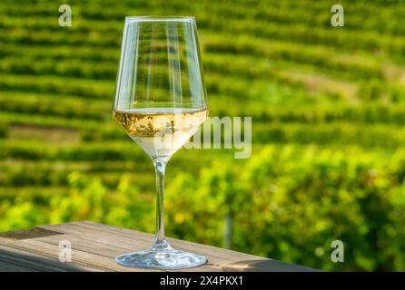 Gros plan d'un verre de vin blanc sur une table en bois avec vue sur les vignobles verts Banque D'Images