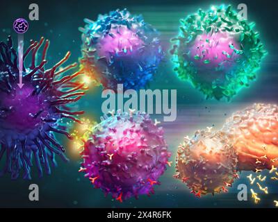 Illustration de la réponse immunitaire provoquée par un vaccin à ARNm (acide ribonucléique messager). Le vaccin ARNm pénètre d'abord dans la cellule dendritique (violet Banque D'Images