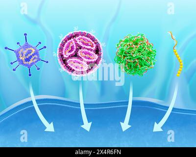 Illustration de certains des différents types de porteurs qui peuvent être utilisés pour administrer des vaccins à ARNm (acide ribonucléique messager). Ces transporteurs peuvent être Banque D'Images