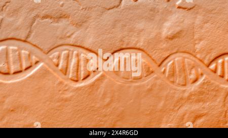 Illustration d'une double hélice d'acide désoxyribonucléique (ADN) ressemblant à d'anciennes gravures murales, fusionnant la représentation scientifique moderne avec l'esthétique vintage Banque D'Images
