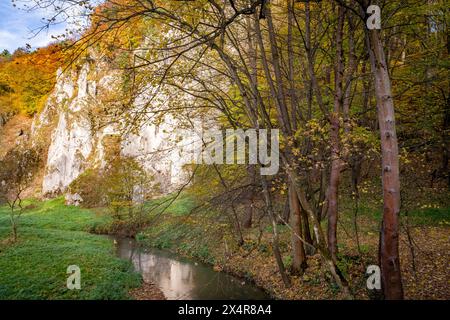 Ojców sur la rivière Prądnik dans le parc national de Ojców en Pologne Banque D'Images