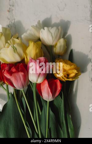 Assortiment coloré de tulipes Banque D'Images