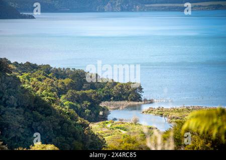 Lac Rotomahana dans la vallée volcanique de Waimangu - Nouvelle-Zélande Banque D'Images