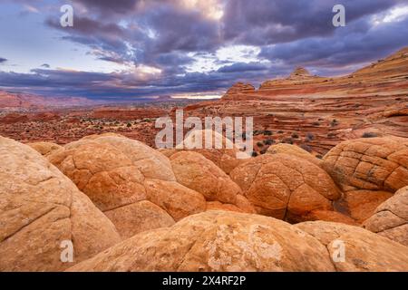 Tipis au lever du soleil près de la vague, Coyote Buttes North à Paria Canyon, Vermilion Cliffs National Monument, Arizona, États-Unis Banque D'Images