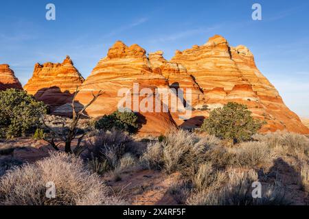 Tipis au coucher du soleil, South Coyote Buttes à Paria Canyon, Vermilion Cliffs National Monument, Arizona, États-Unis Banque D'Images